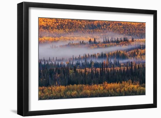 Autumn in Alaska-Jenny Qiu-Framed Giclee Print