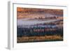 Autumn in Alaska-Jenny Qiu-Framed Giclee Print