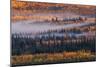 Autumn in Alaska-Jenny Qiu-Mounted Giclee Print