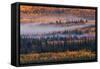 Autumn in Alaska-Jenny Qiu-Framed Stretched Canvas