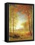 Autumn in America, Oneida County, New York-Albert Bierstadt-Framed Stretched Canvas