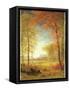 Autumn in America, Oneida County, New York-Albert Bierstadt-Framed Stretched Canvas