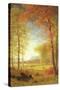 Autumn in America, Oneida County, New York-Albert Bierstadt-Stretched Canvas