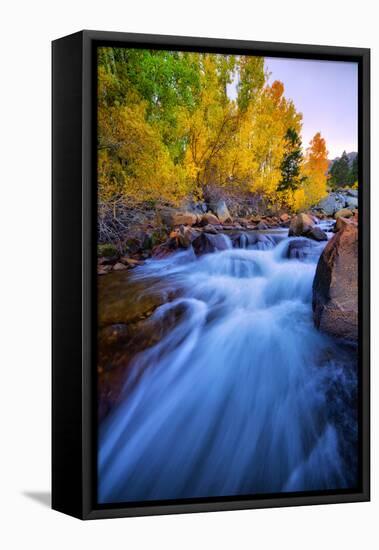 Autumn in Bishop Creek, Mountains, Eastern Sierras-Vincent James-Framed Stretched Canvas