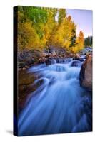 Autumn in Bishop Creek, Mountains, Eastern Sierras-Vincent James-Stretched Canvas