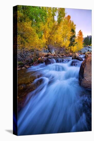 Autumn in Bishop Creek, Mountains, Eastern Sierras-Vincent James-Stretched Canvas