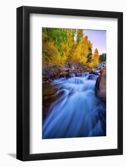 Autumn in Bishop Creek, Mountains, Eastern Sierras-Vincent James-Framed Photographic Print