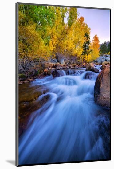 Autumn in Bishop Creek, Mountains, Eastern Sierras-Vincent James-Mounted Photographic Print