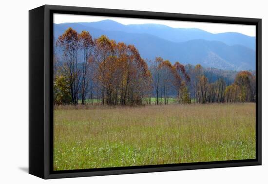 Autumn in Cades Cove, Smoky Mountains National Park, Tennessee, USA-Anna Miller-Framed Stretched Canvas