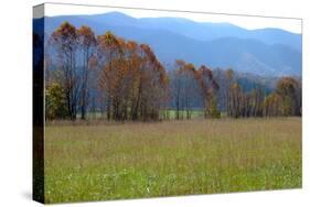 Autumn in Cades Cove, Smoky Mountains National Park, Tennessee, USA-Anna Miller-Stretched Canvas