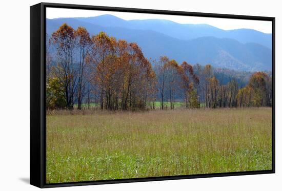 Autumn in Cades Cove, Smoky Mountains National Park, Tennessee, USA-Anna Miller-Framed Stretched Canvas