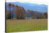 Autumn in Cades Cove, Smoky Mountains National Park, Tennessee, USA-Anna Miller-Stretched Canvas