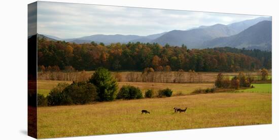 Autumn in Cades Cove, Smoky Mountains National Park, Tennessee, USA-Anna Miller-Stretched Canvas