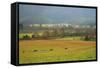 Autumn in Cades Cove, Smoky Mountains National Park, Tennessee, USA-Anna Miller-Framed Stretched Canvas