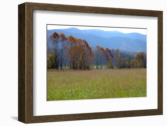 Autumn in Cades Cove, Smoky Mountains National Park, Tennessee, USA-Anna Miller-Framed Photographic Print