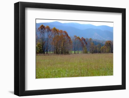 Autumn in Cades Cove, Smoky Mountains National Park, Tennessee, USA-Anna Miller-Framed Photographic Print