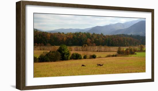 Autumn in Cades Cove, Smoky Mountains National Park, Tennessee, USA-Anna Miller-Framed Photographic Print