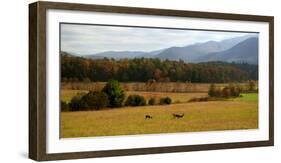 Autumn in Cades Cove, Smoky Mountains National Park, Tennessee, USA-Anna Miller-Framed Photographic Print