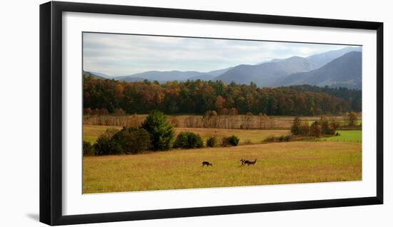 Autumn in Cades Cove, Smoky Mountains National Park, Tennessee, USA-Anna Miller-Framed Photographic Print