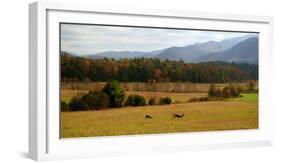 Autumn in Cades Cove, Smoky Mountains National Park, Tennessee, USA-Anna Miller-Framed Photographic Print