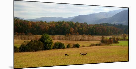 Autumn in Cades Cove, Smoky Mountains National Park, Tennessee, USA-Anna Miller-Mounted Photographic Print