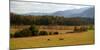 Autumn in Cades Cove, Smoky Mountains National Park, Tennessee, USA-Anna Miller-Mounted Photographic Print