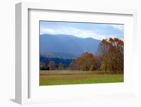 Autumn in Cades Cove, Smoky Mountains National Park, Tennessee, USA-Anna Miller-Framed Photographic Print