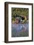 Autumn in Crystal Lake with Eaton, New Hampshire-Armin Mathis-Framed Photographic Print