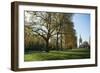 Autumn in Hyde Park, London, England, United Kingdom, Europe-Ethel Davies-Framed Photographic Print