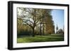 Autumn in Hyde Park, London, England, United Kingdom, Europe-Ethel Davies-Framed Photographic Print