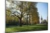 Autumn in Hyde Park, London, England, United Kingdom, Europe-Ethel Davies-Mounted Photographic Print