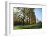 Autumn in Hyde Park, London, England, United Kingdom, Europe-Ethel Davies-Framed Photographic Print