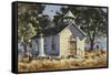 Autumn in Jamestown-LaVere Hutchings-Framed Stretched Canvas