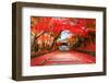 Autumn in Japan Kyoto, Entrance of the Temple Bishamon-Do Covered with Red Leaves.-null-Framed Photographic Print