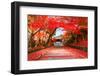 Autumn in Japan Kyoto, Entrance of the Temple Bishamon-Do Covered with Red Leaves.-null-Framed Photographic Print