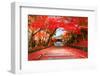 Autumn in Japan Kyoto, Entrance of the Temple Bishamon-Do Covered with Red Leaves.-null-Framed Photographic Print