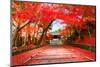 Autumn in Japan Kyoto, Entrance of the Temple Bishamon-Do Covered with Red Leaves.-null-Mounted Photographic Print