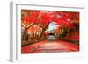 Autumn in Japan Kyoto, Entrance of the Temple Bishamon-Do Covered with Red Leaves.-null-Framed Photographic Print