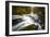 Autumn In Jura-Mathieu Rivrin-Framed Photographic Print