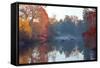 Autumn in Kew Gardens, UNESCO World Heritage Site, Kew, Greater London, England, UK-Simon Montgomery-Framed Stretched Canvas