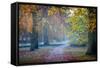 Autumn in Kew Gardens, UNESCO World Heritage Site, Kew, Greater London, England, UK-Simon Montgomery-Framed Stretched Canvas