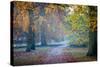 Autumn in Kew Gardens, UNESCO World Heritage Site, Kew, Greater London, England, UK-Simon Montgomery-Stretched Canvas