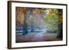 Autumn in Kew Gardens, UNESCO World Heritage Site, Kew, Greater London, England, UK-Simon Montgomery-Framed Photographic Print