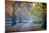 Autumn in Kew Gardens, UNESCO World Heritage Site, Kew, Greater London, England, UK-Simon Montgomery-Mounted Photographic Print