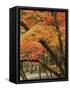 Autumn in Koya-san-Christophe Boisvieux-Framed Stretched Canvas