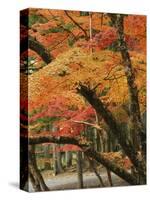 Autumn in Koya-san-Christophe Boisvieux-Stretched Canvas