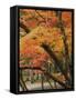 Autumn in Koya-san-Christophe Boisvieux-Framed Stretched Canvas