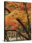 Autumn in Koya-san-Christophe Boisvieux-Stretched Canvas