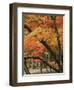 Autumn in Koya-san-Christophe Boisvieux-Framed Photographic Print