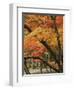 Autumn in Koya-san-Christophe Boisvieux-Framed Photographic Print